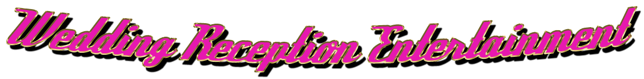 Steve King Wedding Reception Entertainment Packages